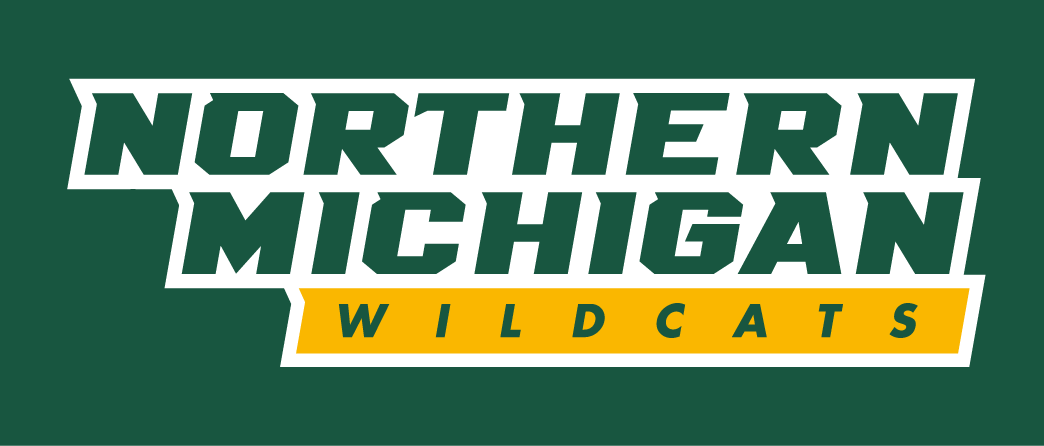 Northern Michigan Wildcats 2016-Pres Wordmark Logo iron on transfers for T-shirts